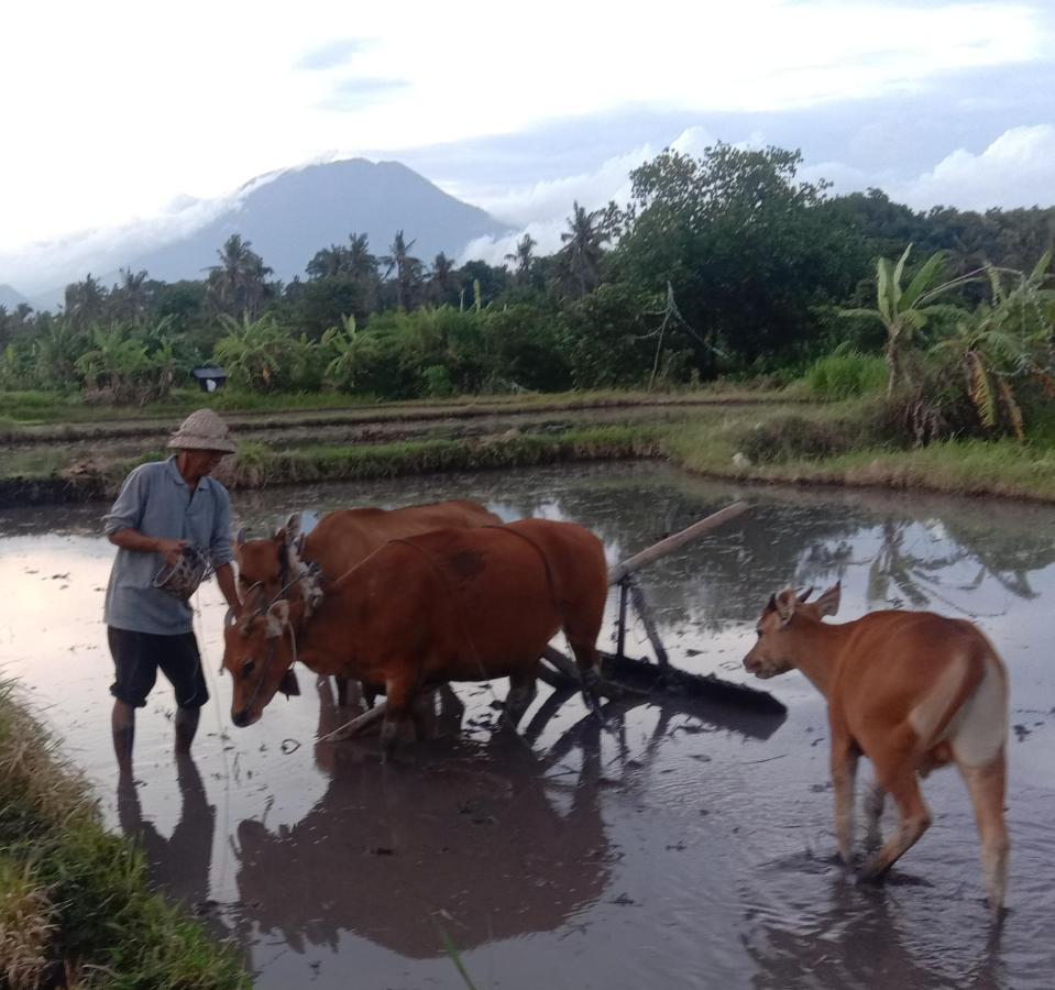 Pondok Diana Arta Jasri Zimmer foto